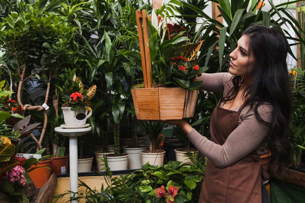 vegetable container gardening