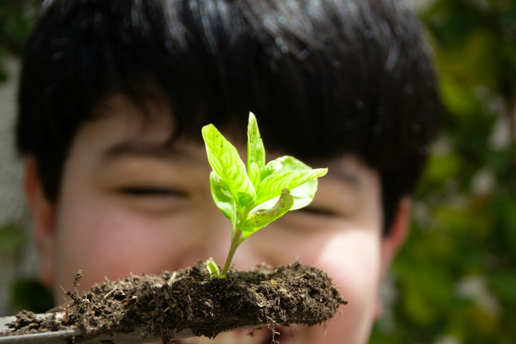 green leaf on persons face - Organic Gardening for Kids