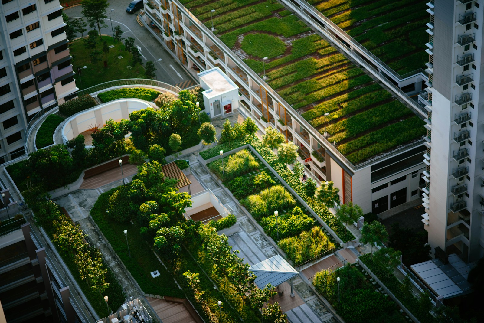 top view of building with trees - Organic Gardening in Urban Spaces