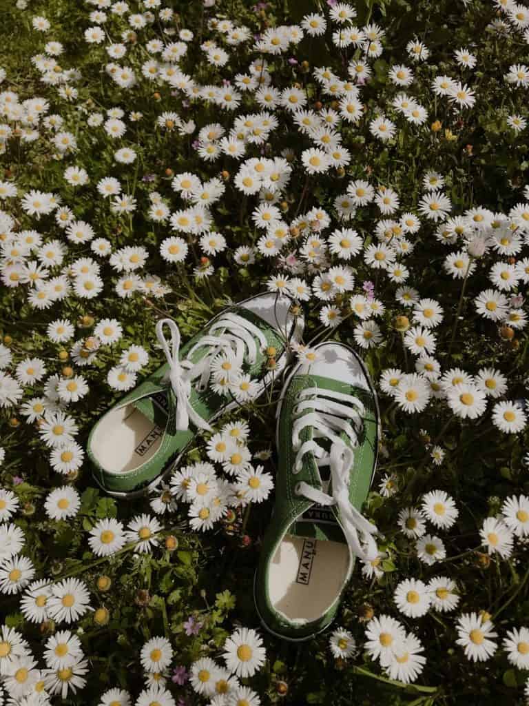 Pair of shoes on meadow with blooming  - wilding shoes